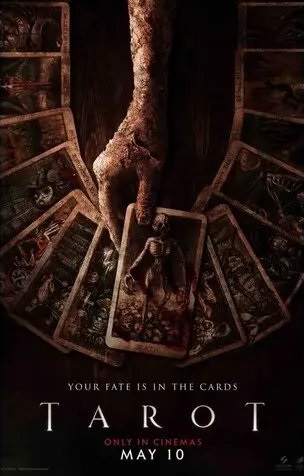 m11 - copia (6).webp